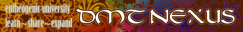 DMT Nexus